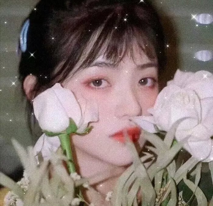 女人们